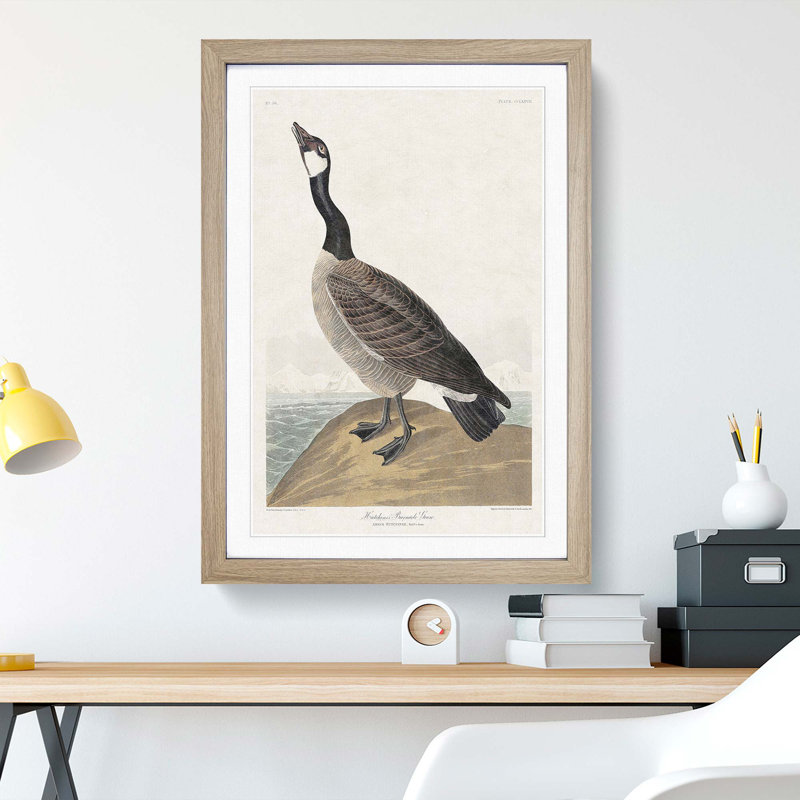 Hutchins Barnacle Goose by John Audubon - Framed Print, 48cm H x 36cm W x 2cm D, Oak Framed