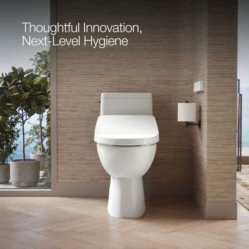 Elongated Bidet Toilet Seat With Remote Control