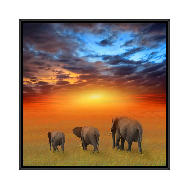 The Future Is Bright by Ben Heine - Print on Canvas, 45.72 cm H x 45.72 cm W, Black Framed