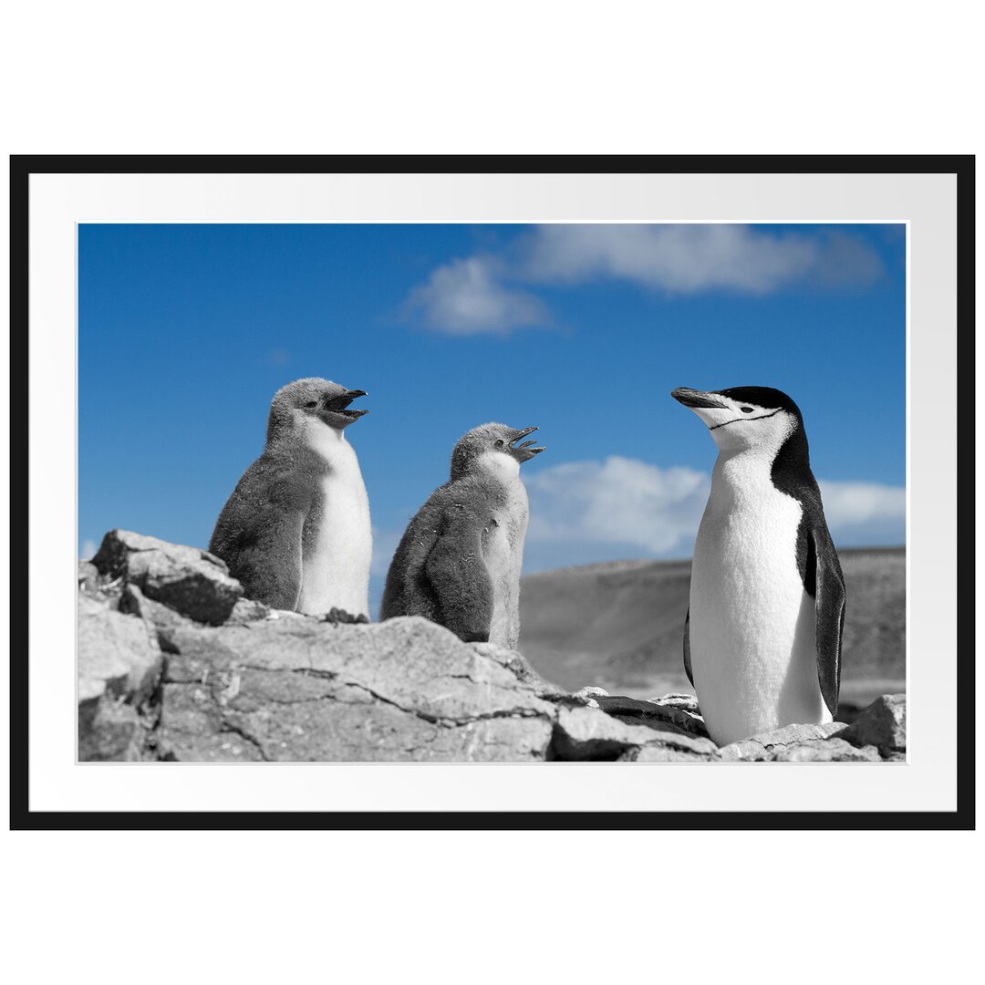 Gerahmtes Poster Süße Pinguine