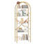 5 Tier Bookcase Arched Display Racks-1194925981