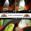 5 Man Camping Tent Large Tunnel Tent 455x220x180cm Orange