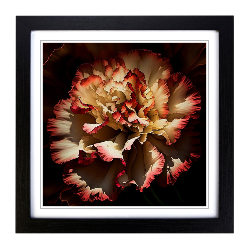 Carnation Flower Abstract Expressionism - Framed Print, Black