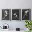 Orchidée sur ardoise I - ensemble de 3 peintures sur toile encadrées-563059927-563059922
