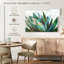 Agave vibrant-790152162-790151706