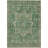 Machine Washable Indoor/Outdoor Claudian ACN1240 Emerald Rug-103712664