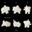 Ensemble de 6 figurines d'éléphant à aspect jade blanc avec motifs dorés - Statues d'animaux Lucky Feng Shui-1832359970
