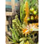 Couronne en polyester 20 po