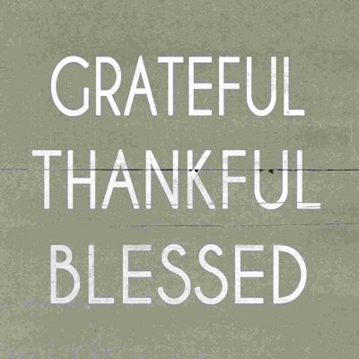 " Grateful Thankful Blessed "