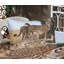 Drap-housse et coussin décoratif Ambesonne-106793689