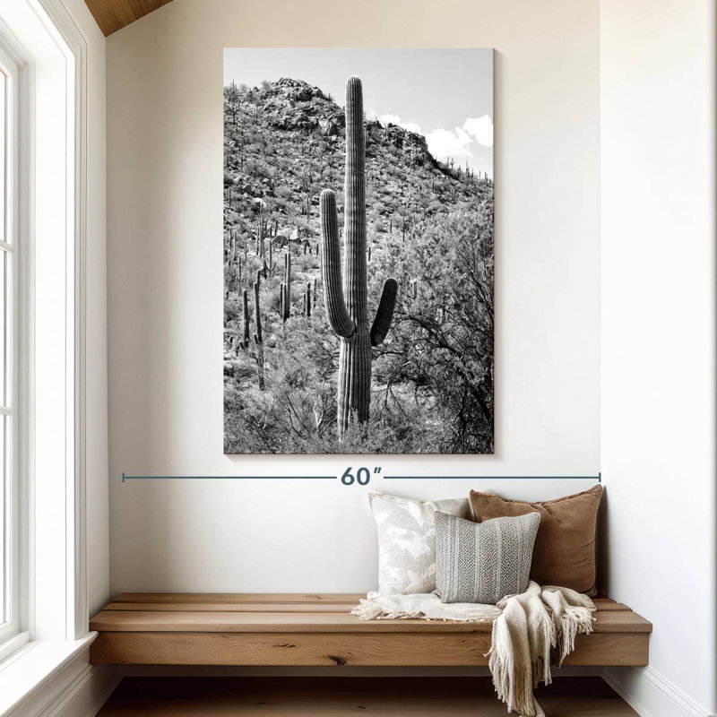 Harnek Black Arizona - Cactus Hill I, 51" H x 34" W