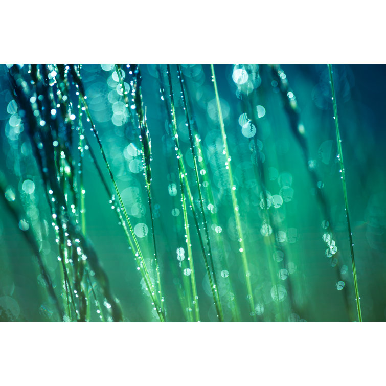 Fresh Spring Grass by Jasmina007 - Wrapped Canvas Print