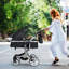 Foldable Pet Stroller-94343647