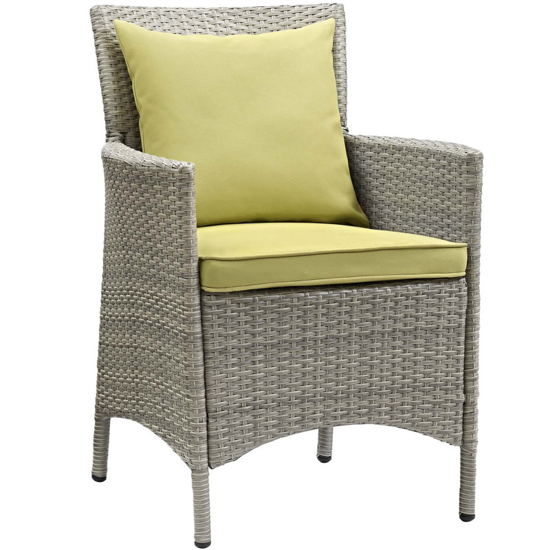Chaise de salle à manger en rotin et osier Bocabec par Havenside Home, Péridot, Velours gris pâle