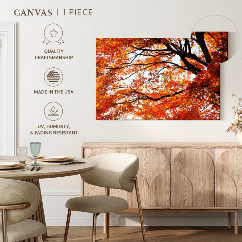 Alvord acer Palmatum en automne, H 34 po x l 51 po