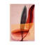 Art sur toile "Bolologic Impressions No 6"-105651364