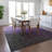  Machine Washable Indoor/Outdoor Chayden ACN1066 Rug-967746028