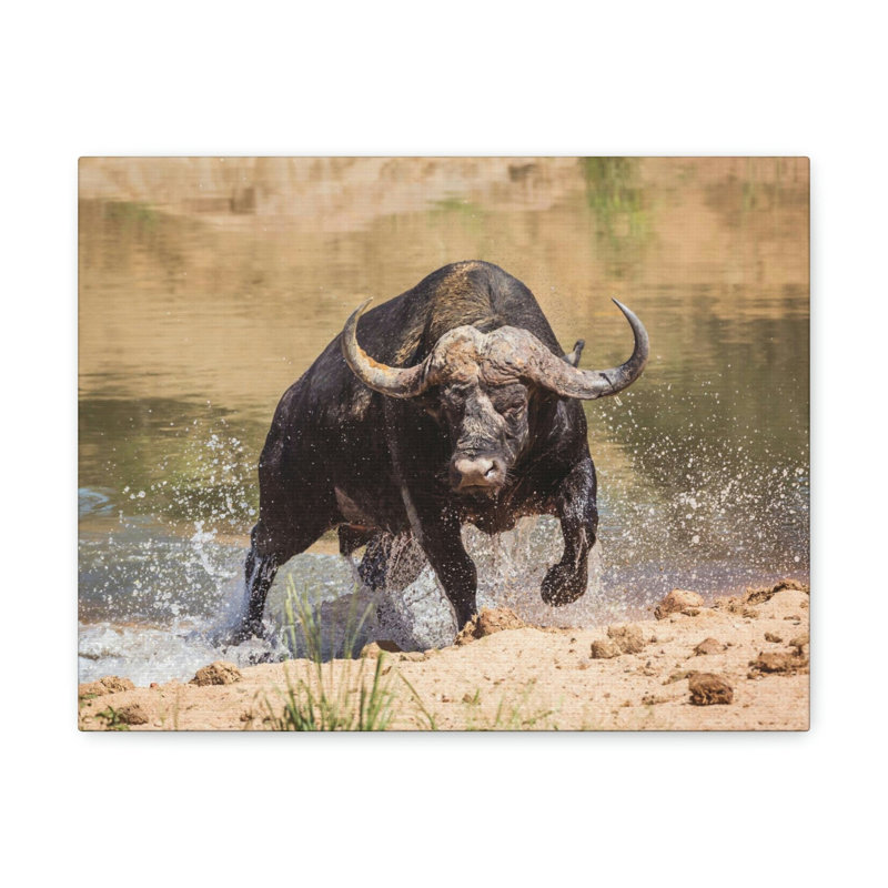 No Frame Print on Canvas, 27.94cm H x 35.56cm W