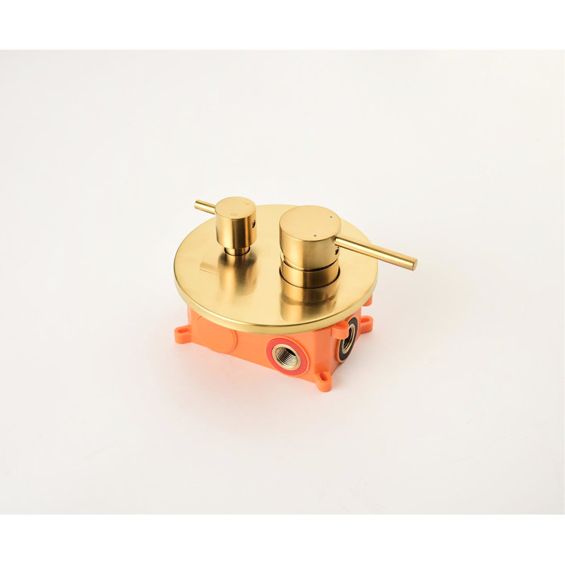 Brushed Gold Shower System With Stylish 59-Inch Hose, Arm & Hose In Rain Head, Hand Bodysprays, Brushed Gold