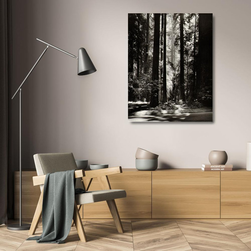 Redwoods, Founder's Grove, 24" H x 19" W