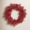 22'' Faux Berry Plastic Wreath