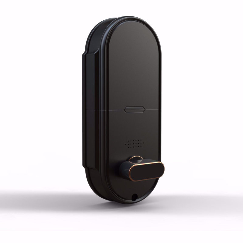 Black Digital Fingerprint Biometric Keypad Door Lock