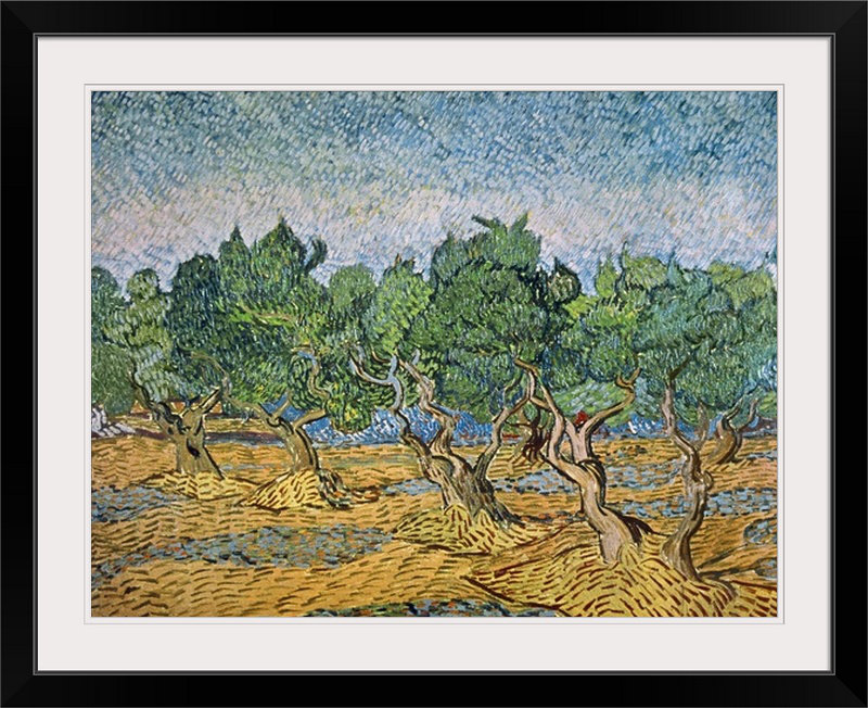 «Olive Orchard, Violet Sol» par Vincent Van Gogh - impression, H 31 po x l 38 po x P 1 po, Cadre noir