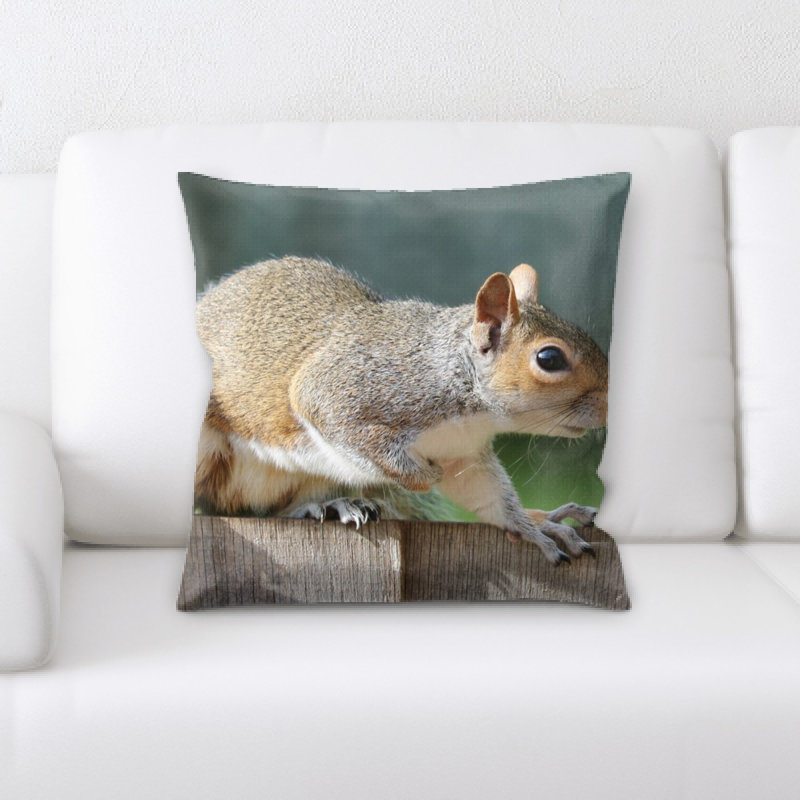 Coussin écureuil