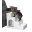 Escalier pour animal 4 marches