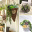 Plantes succulentes artificielles - ensemble de 16 ...