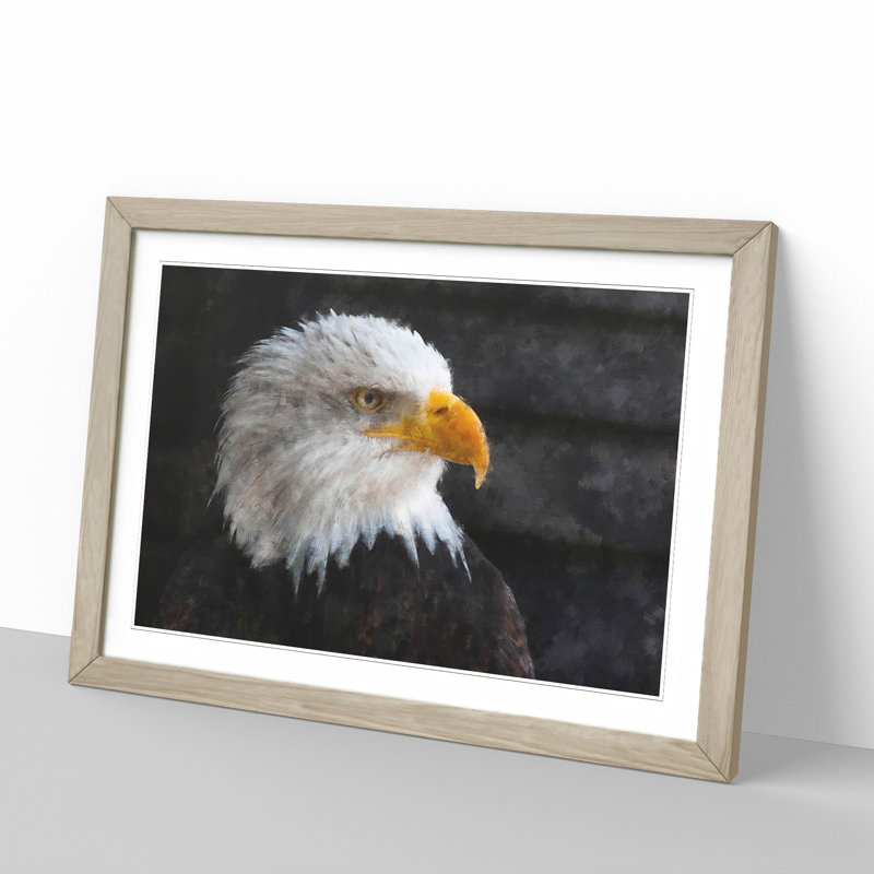 Bald Eagle Vol.2 - Picture Frame Painting, 27cm H x 36cm W x 2cm D, Oak Framed
