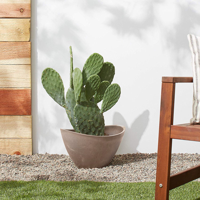 Pot de fleurs en composite Edgewater, H 9 po x l 16 po x P 12 po, Terra Cotta