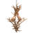 Jamius 8 - Light Steel Chandelier