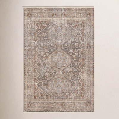 Clemente Oriental Indoor Rug