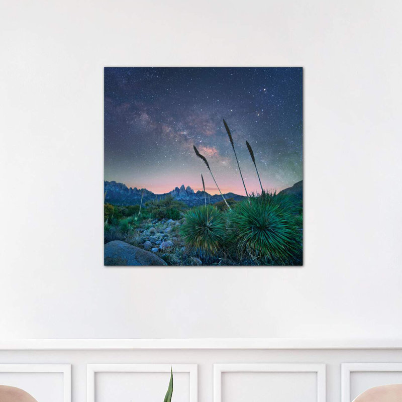 Agave and the Milky Way, Organ Mountains-Desert Peaks National Monument, New Mexico 1 Piece Wrapped Canvas Wall Art