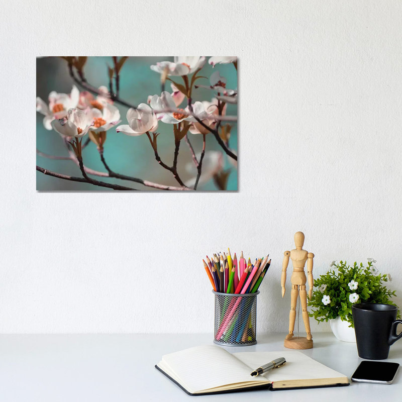 Dogwood Spring IV by Sharon Chandler - Wrapped Canvas Print, 20.32 cm H x 30.48 cm W