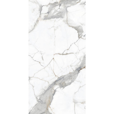 48"" X 48"" Porcelain Marble Look Wall & Floor Tile Calacatta Carrara -  MALAKAN INC, MSBZTLPLCC-GL-48-48