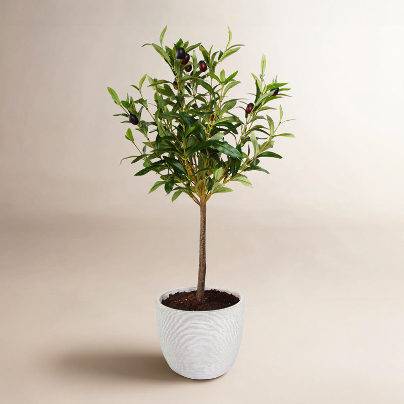 28'' Faux Olive Tree Tree in Pot