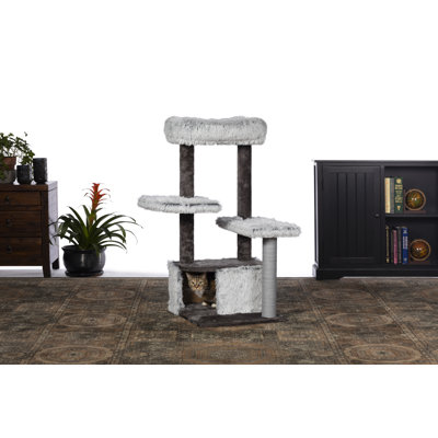 Condo dépolie 43" kitty power pattes Hearns