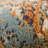 2' X 3' Orange Abstract Power Loom Area Rug