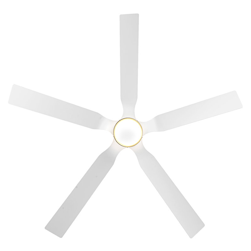 60'' Ceiling Fan With Light, White