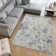 Halea High-Low Abstract Area Rug