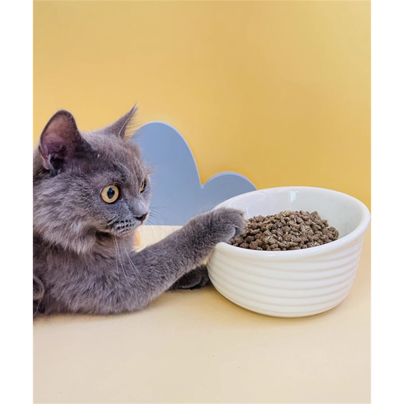 Bol surélevé en céramique pour chats et petits chiens, Blanc