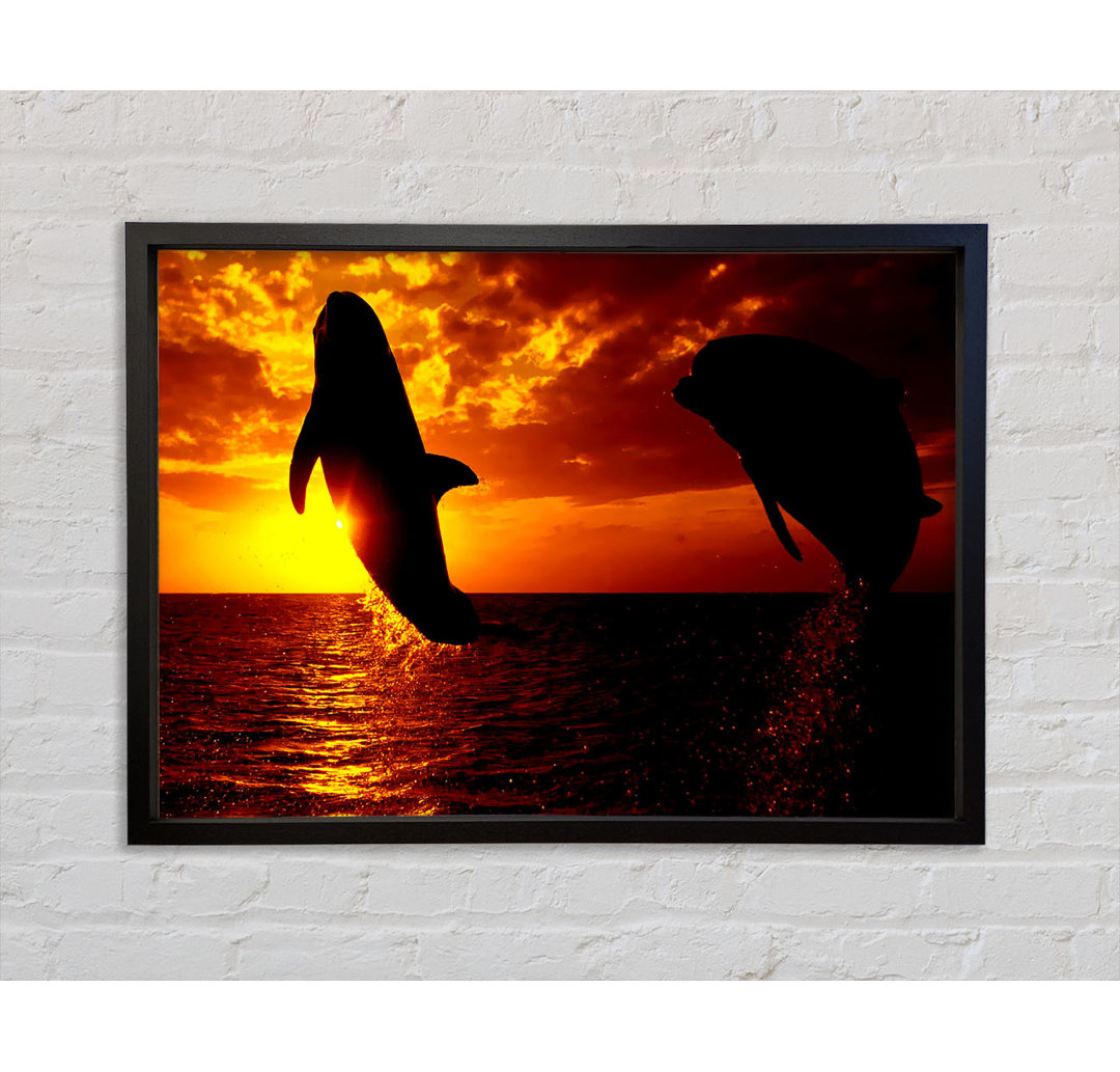 Dolphins Sunglow - Einzelner Bilderrahmen Kunstdrucke auf Leinwand