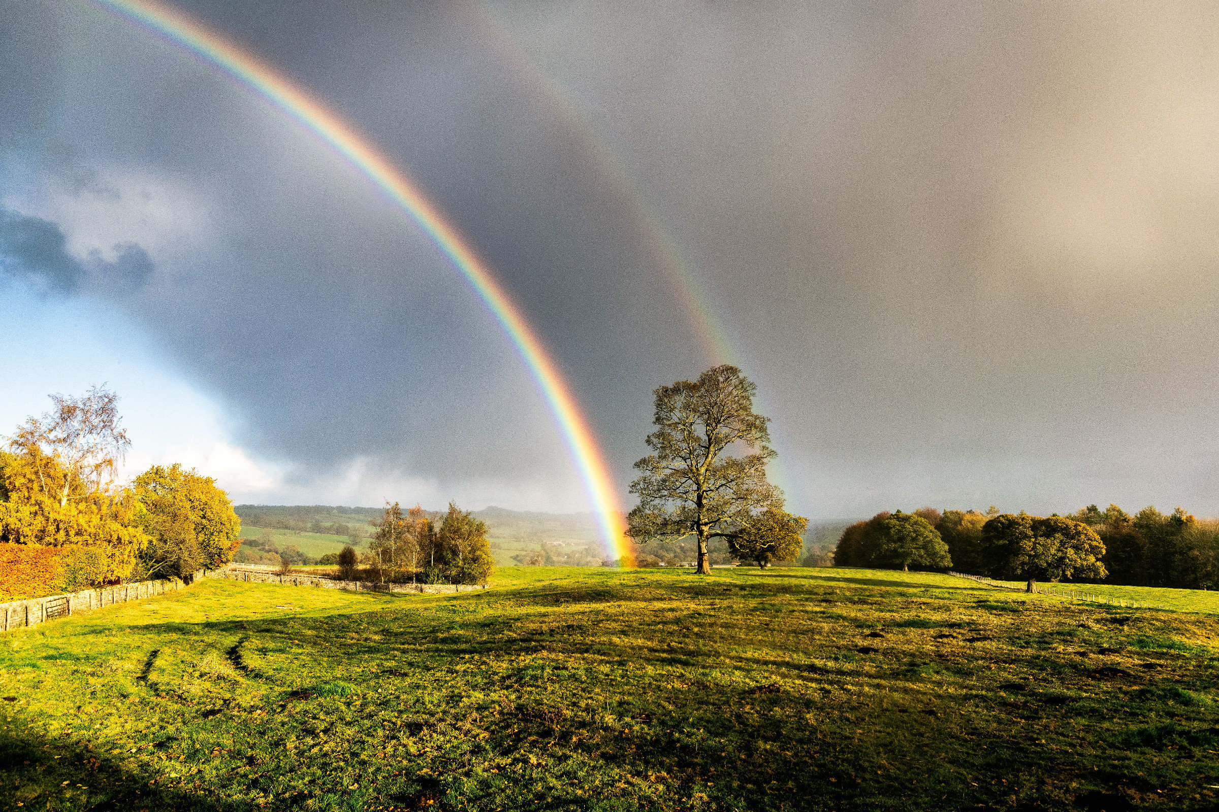 Ebern Designs Farnley Rainbow | Wayfair