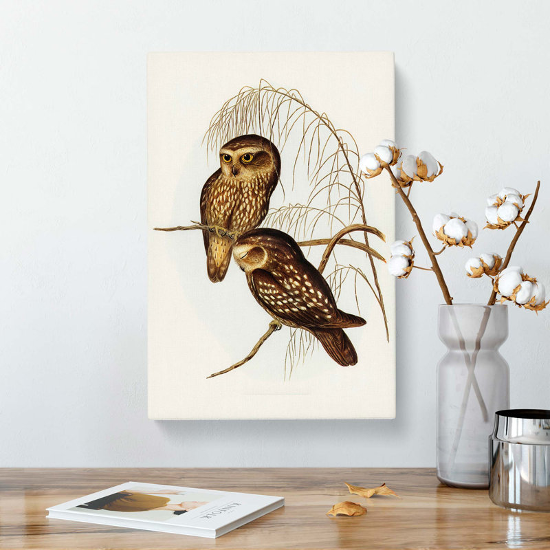 Spotted Owls by Elizabeth Gould - Wrapped Canvas, 76cm H x 50cm W x 3cm D