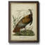 Toile de qualité supérieure Audubon Wild Turquie, prête à être accrochée-1756565097