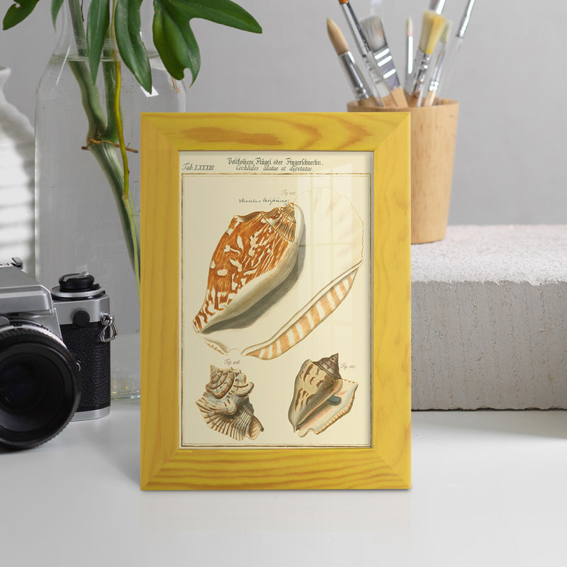 Coquilles de martini antique III sur papier, H 8 po x l 6 po x P 1 po, Jaune