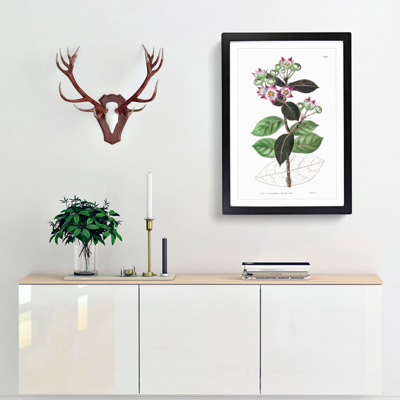 Milkweed Flowers - Picture Frame Painting Print, Black Framed, 36cm H x 27cm W x 2cm D