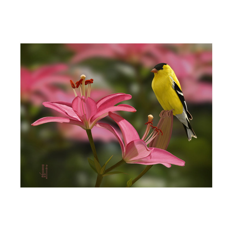 Art sur toile Jeff Hoff, H 18 po x l 24 po